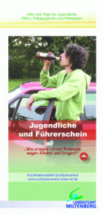 Führerschein (1)